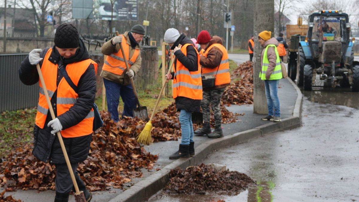 Коломия стає зеленішою: у місті висадили понад півсотні молодих дерев 5