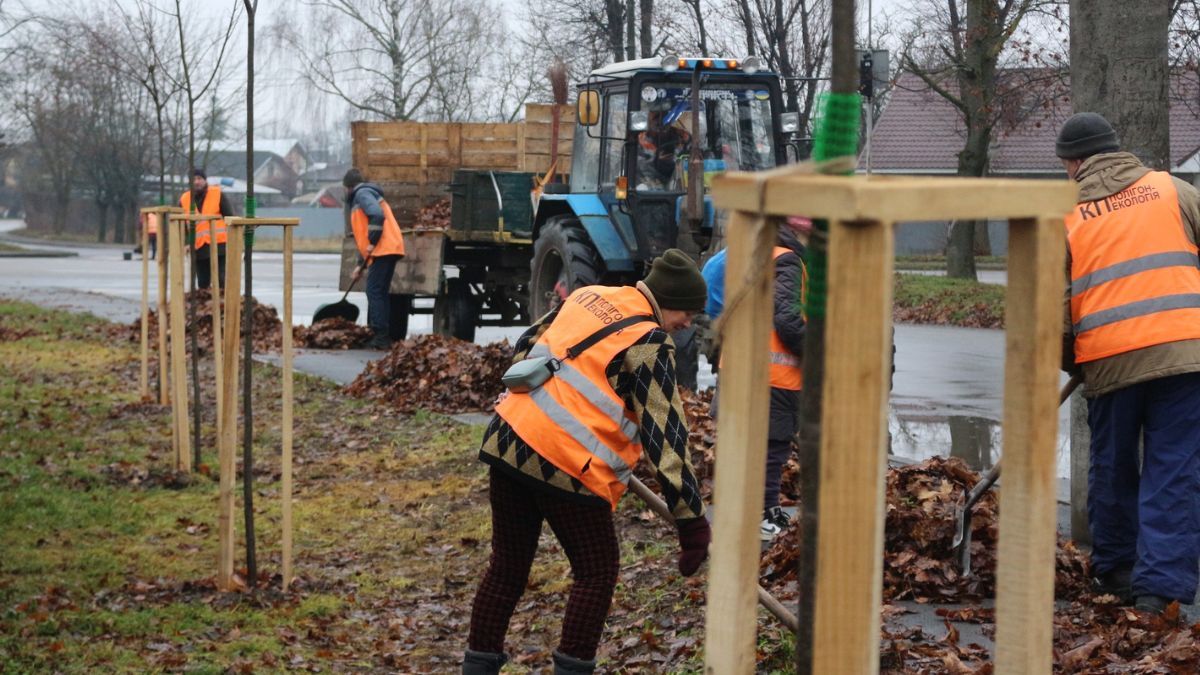 Коломия стає зеленішою: у місті висадили понад півсотні молодих дерев 3
