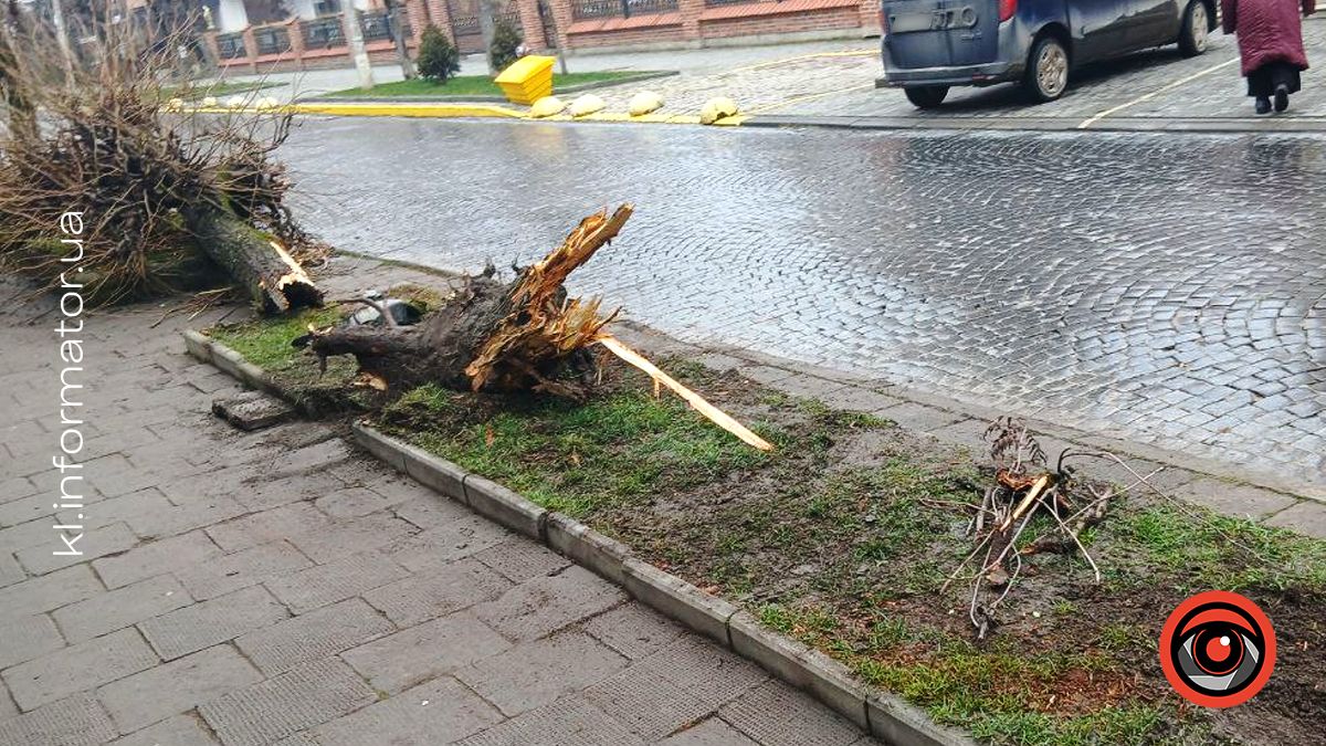 Вечірня ДТП у Коломиї: водій кросовера врізався у дерева 1