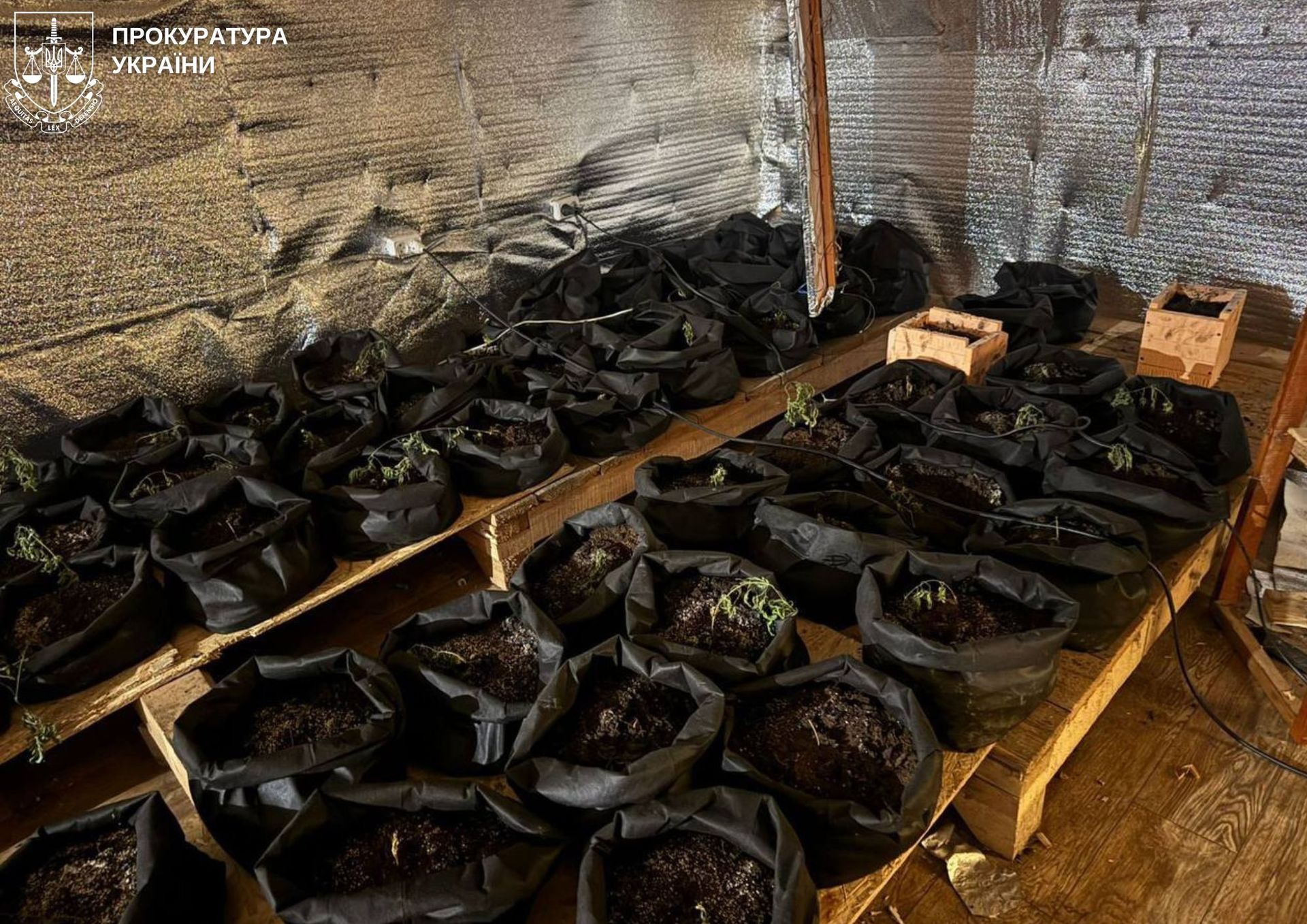 Вилучені наркотичні та психотропні засоби в обвинуваченого. Фото: Прокуратура України Вилучені наркотичні та психотропні засоби в обвинуваченого. Фото: Прокуратура України