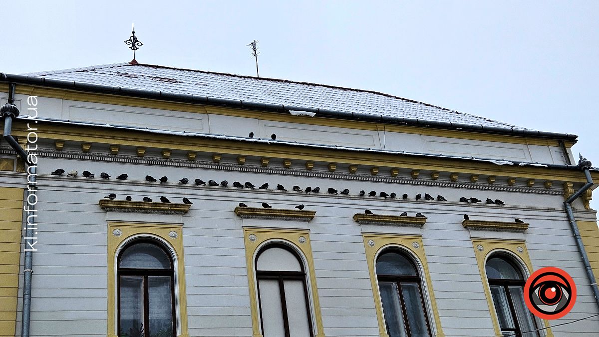 Погода у Коломиї 6 грудня