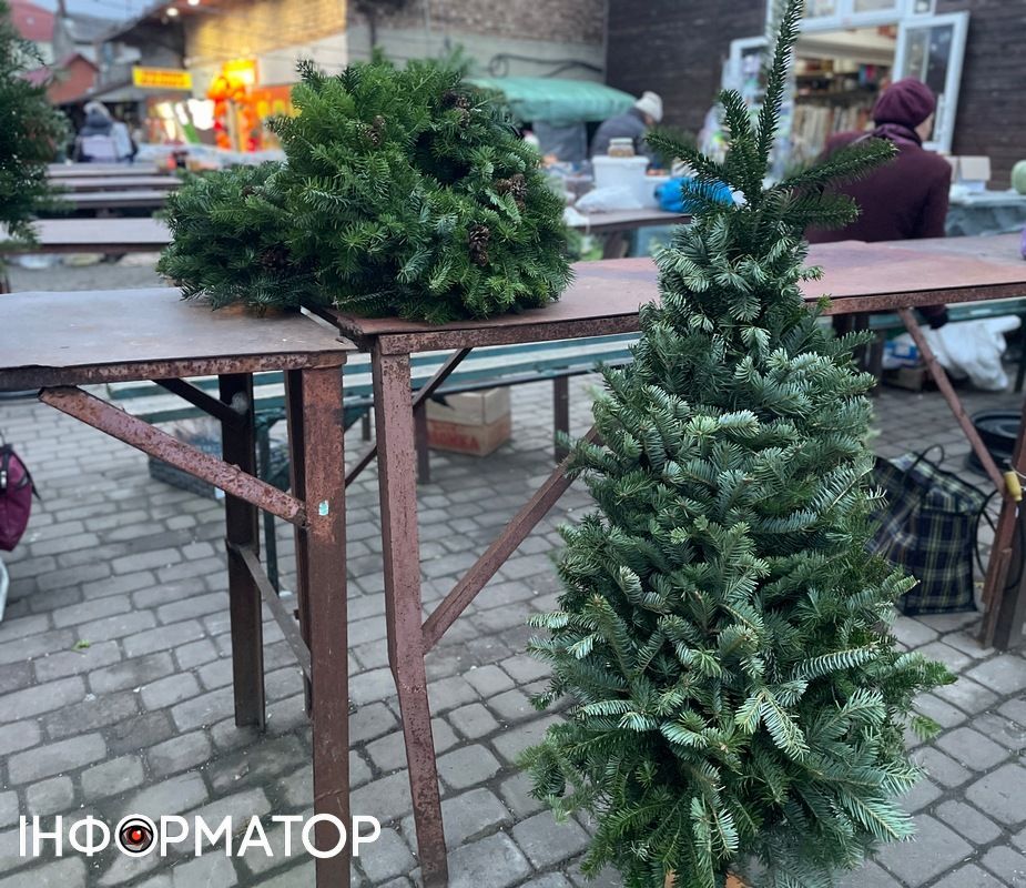 Скільки цьогоріч коштують живі ялинки в Коломиї 2