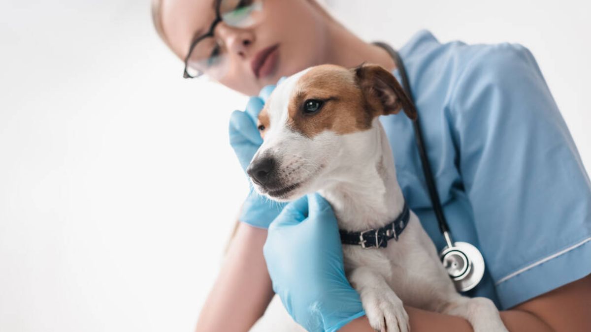 Цей день в календарі: свята, іменини, прикмети 9 грудня