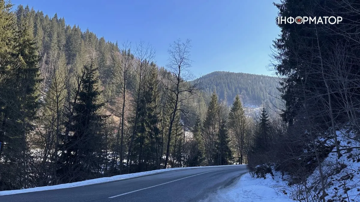 Дорога до Буковелю