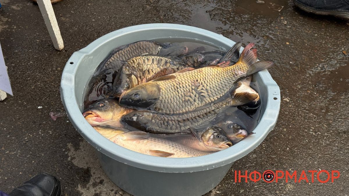 Скільки коштує жива риба у Коломиї 1