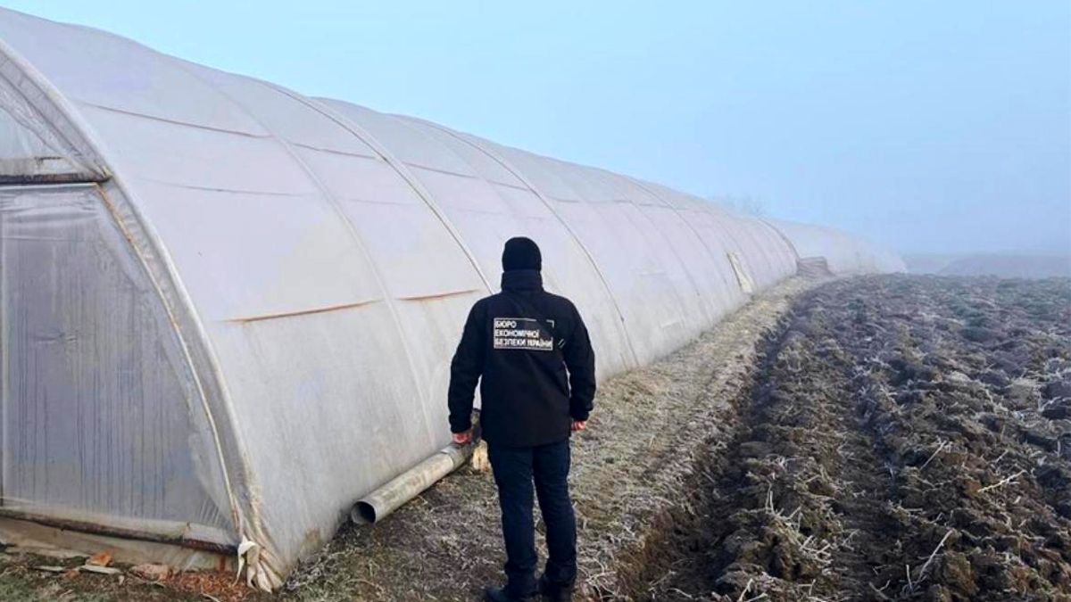 Мешканці Коломийщини незаконно вирощували та збували тютюн 1