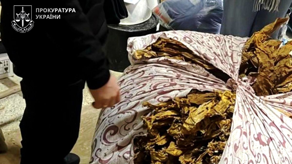 Мешканці Коломийщини незаконно вирощували та збували тютюн 5