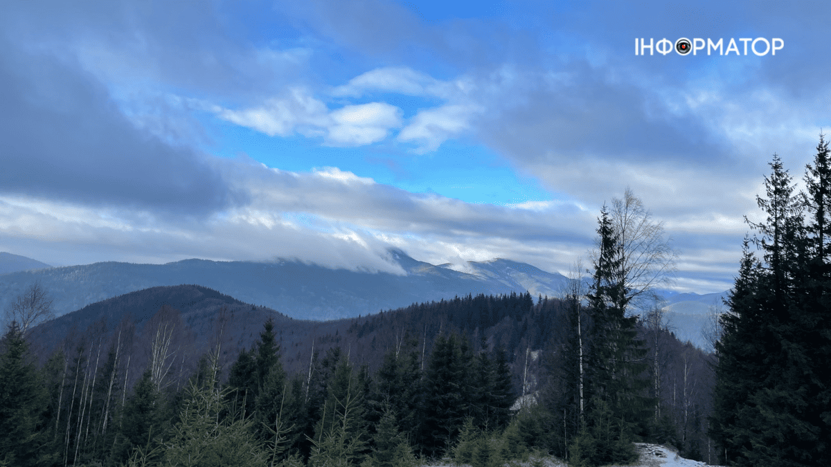 Сором'язливий дебют зими: фоторепортаж грудневих Карпат 1