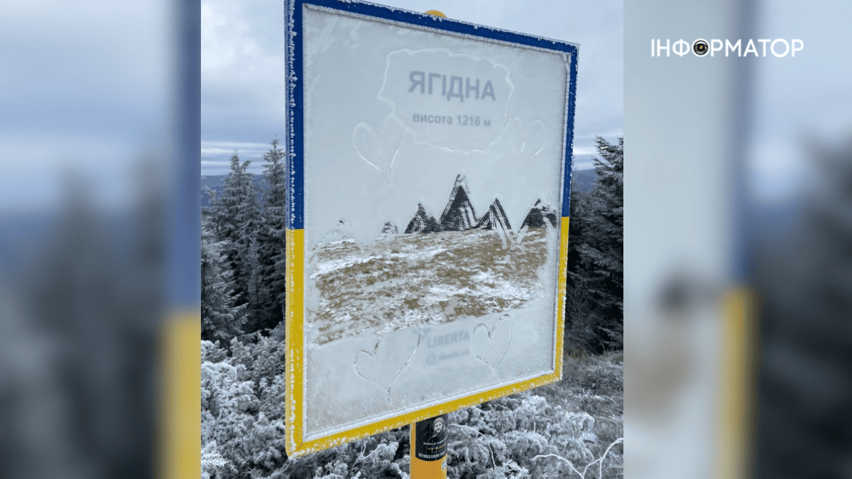 Сором'язливий дебют зими: фоторепортаж грудневих Карпат 2