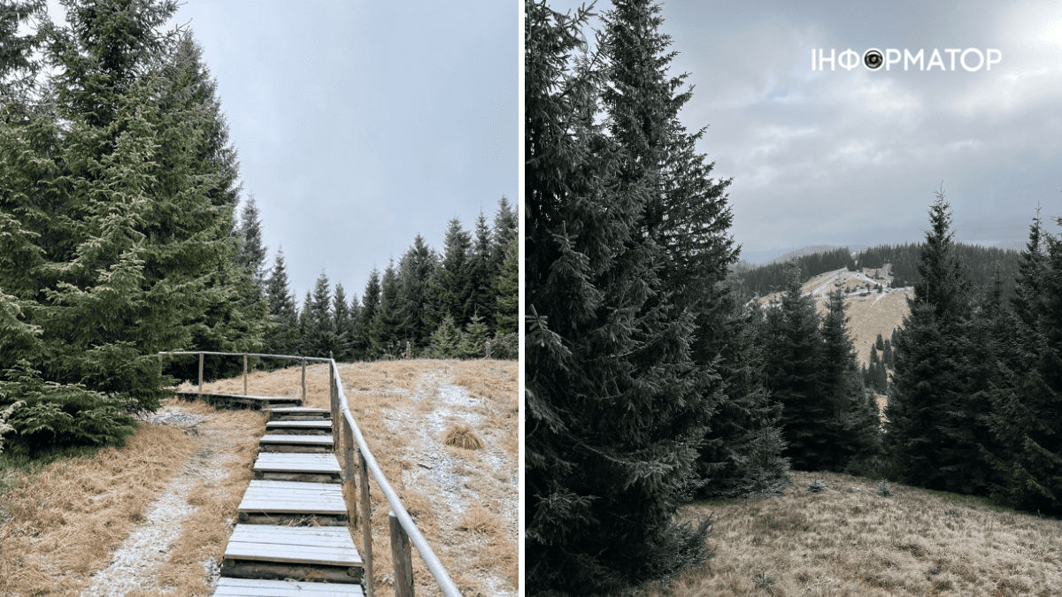 Сором'язливий дебют зими: фоторепортаж грудневих Карпат 7