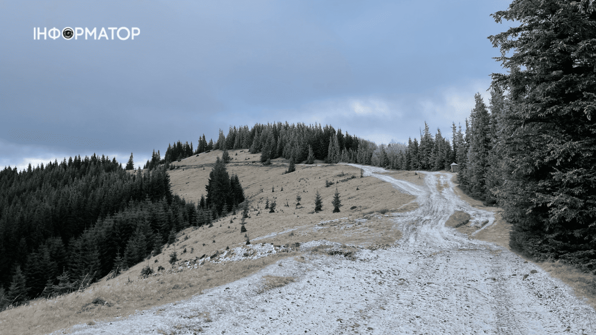 Сором'язливий дебют зими: фоторепортаж грудневих Карпат 5
