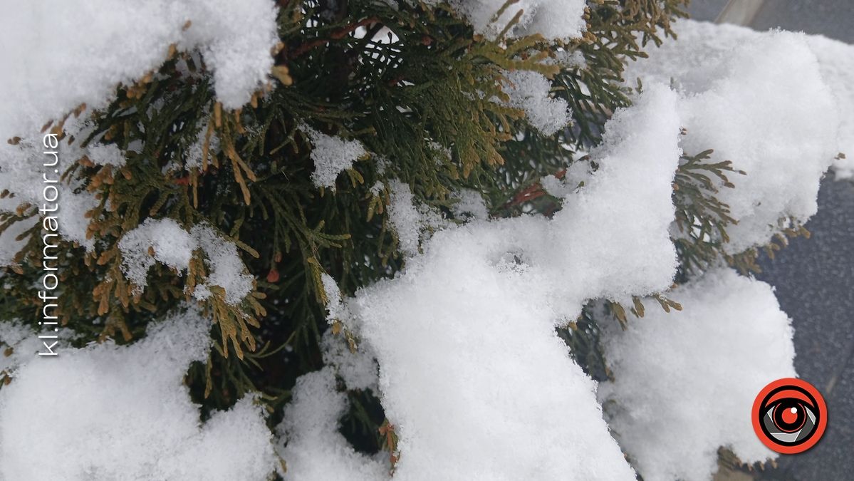 Комплімент небес: засніжена Коломия в переддень Різдва 2