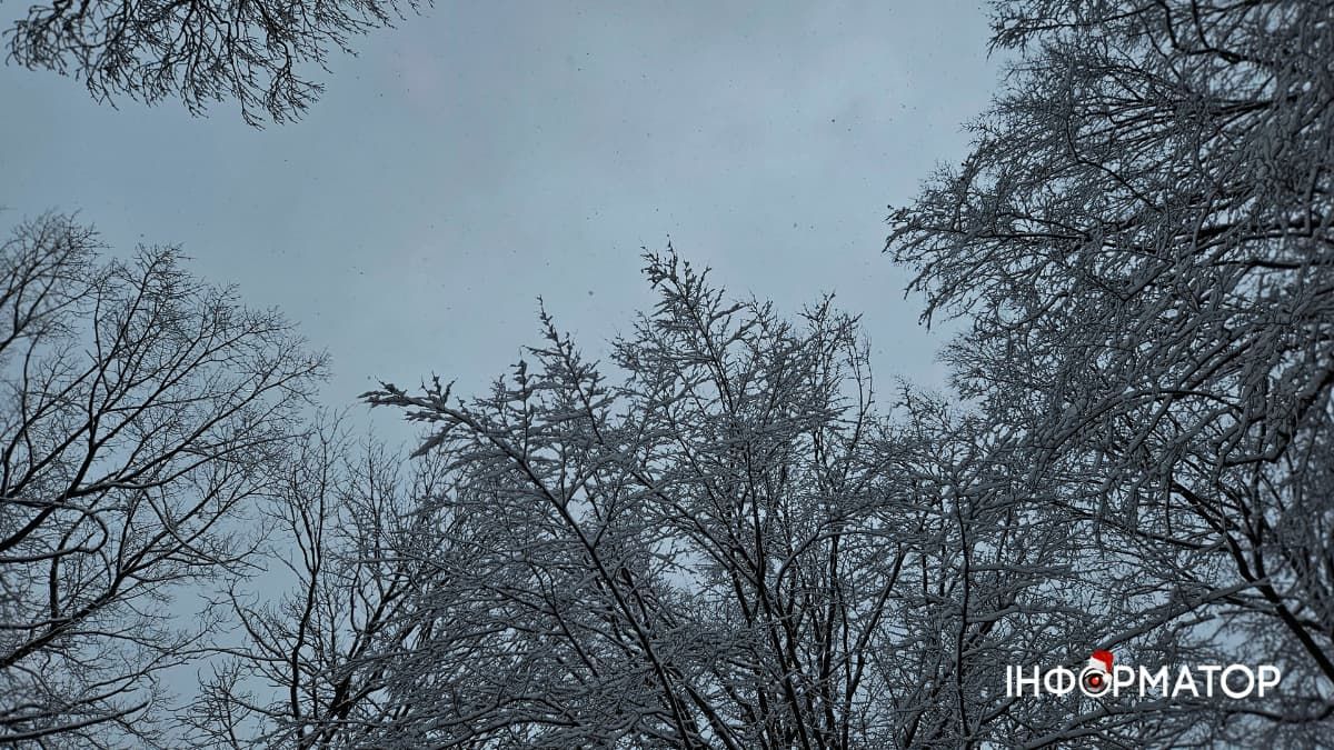 Зимова Коломия напередодні Нового року