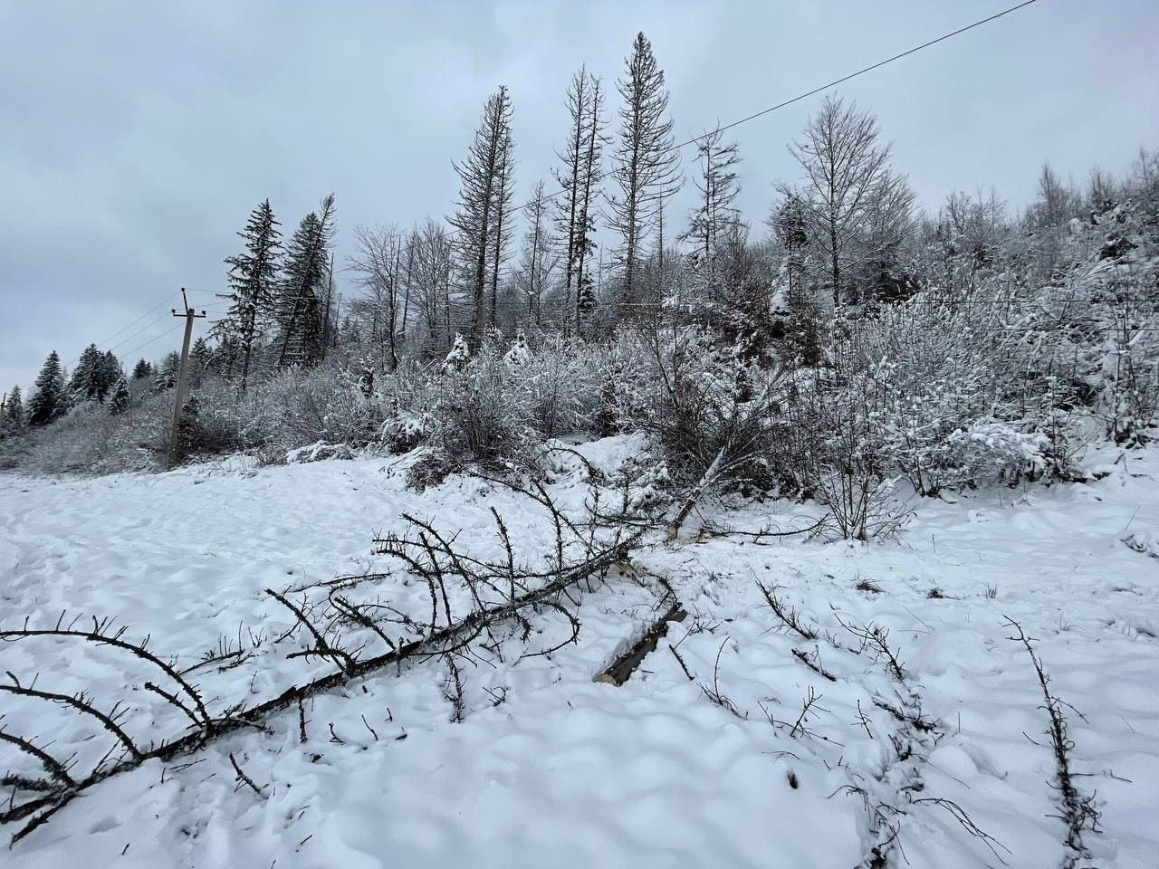 Наслідки негоди на Івано-Франківщині. Фото: Прикарпаттяобленерго