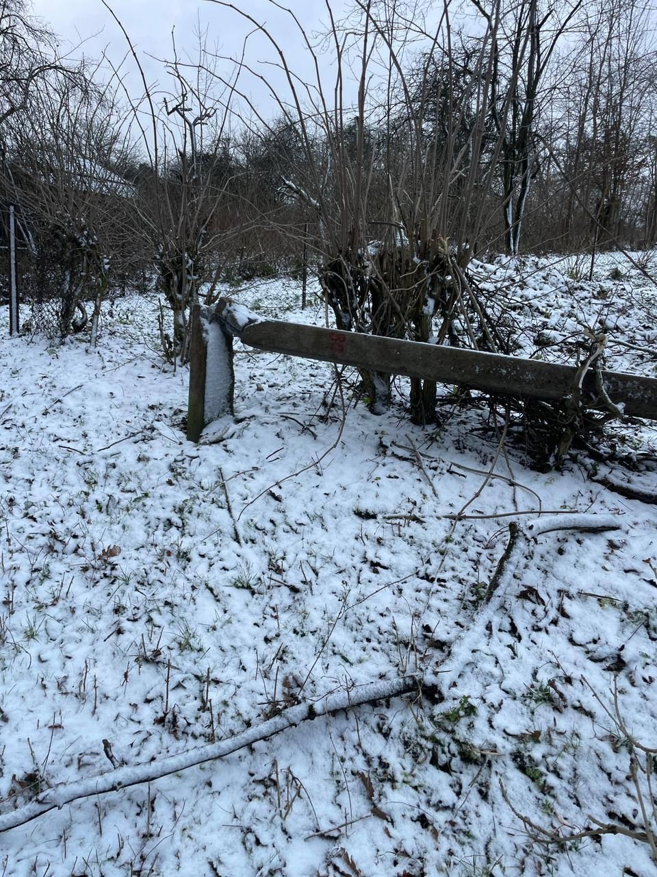 Наслідки негоди на Івано-Франківщині. Фото: Прикарпаттяобленерго