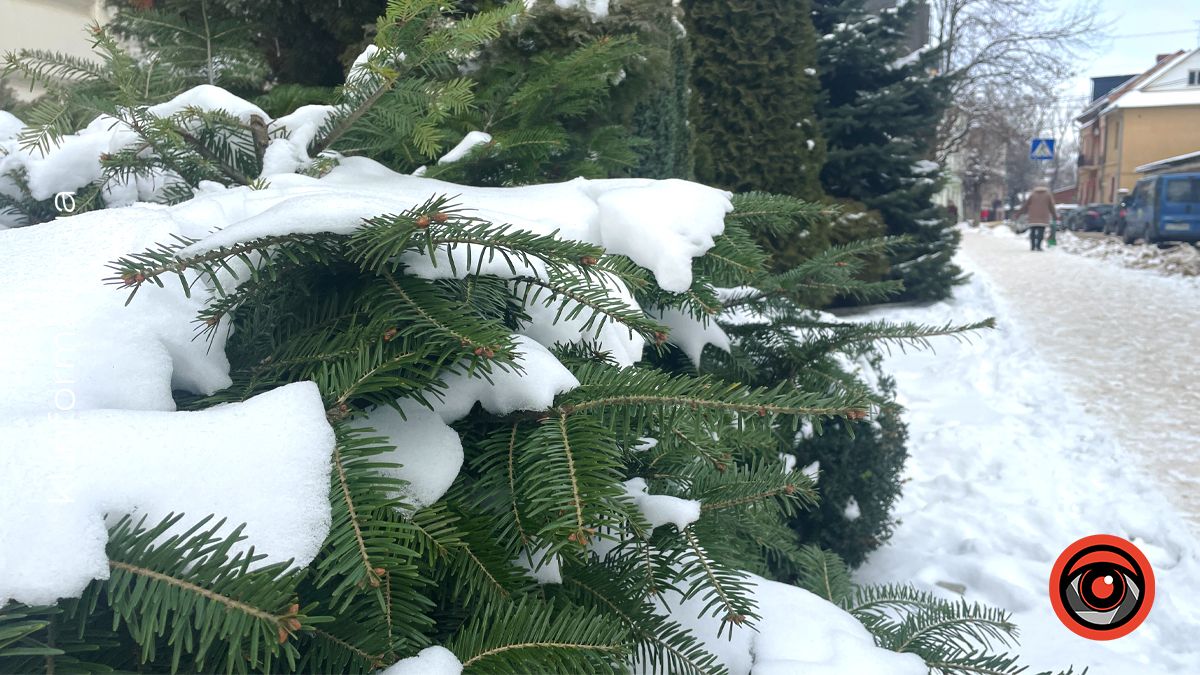 Погода у Коломиї в перший день 2026 року