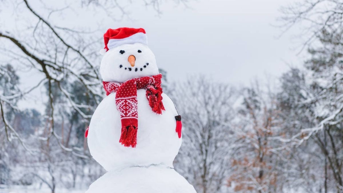 "Сніговик" чи "снігова баба": що насправді символізує найпопулярніша зимова фігура