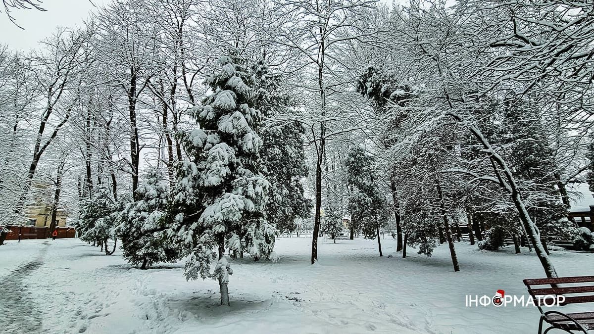 Коломия в обіймах грудня. Фоторепортаж 8