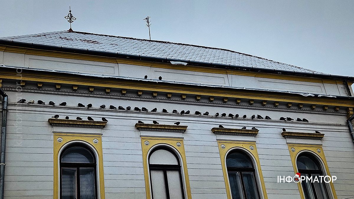 Коломия в обіймах грудня. Фоторепортаж 13