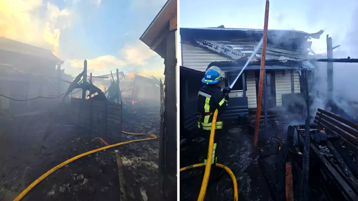 У вогні на Надвірнянщині загинули свійські тварини