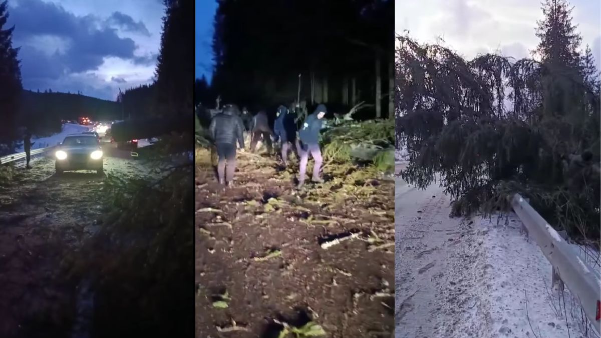 Повалені дерева перекрили автошляхи у кількох районах Прикарпаття: рух відновили