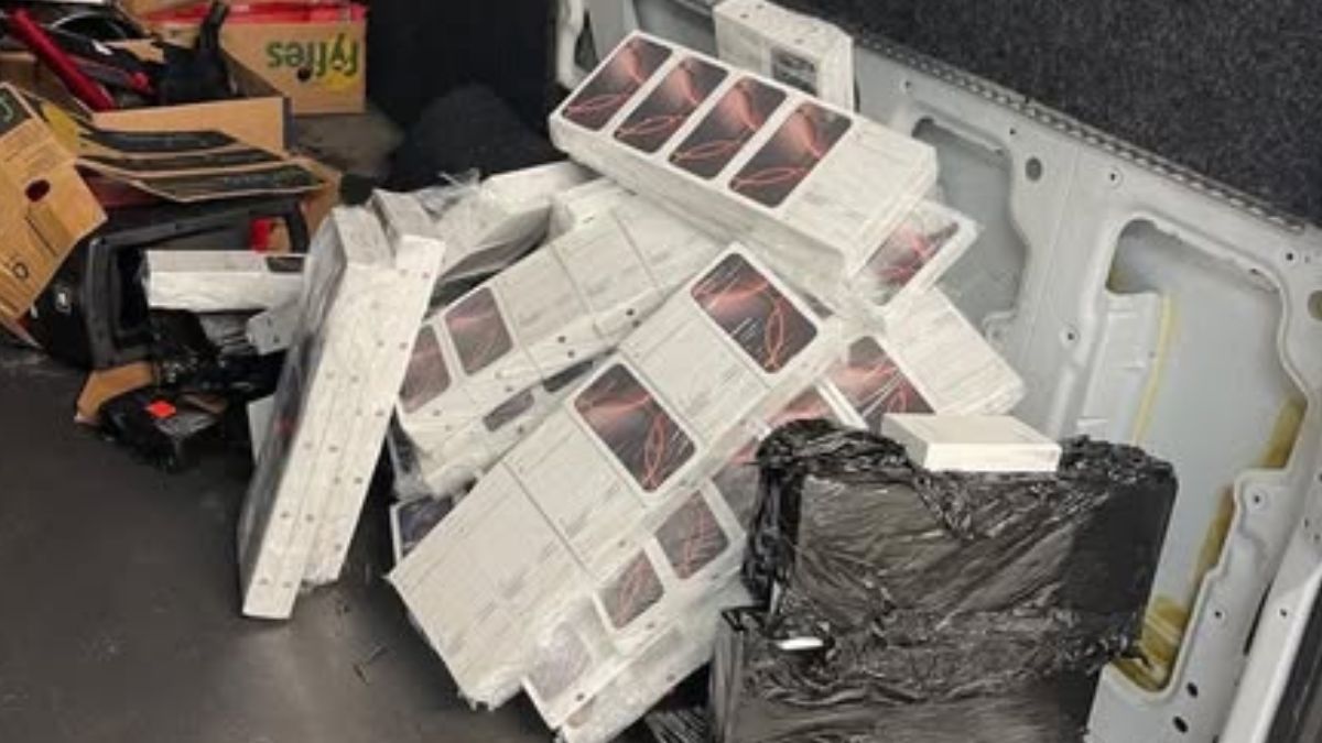 Від айфонів до пітонів: що намагалися перевезти через кордон у 2025 році 1