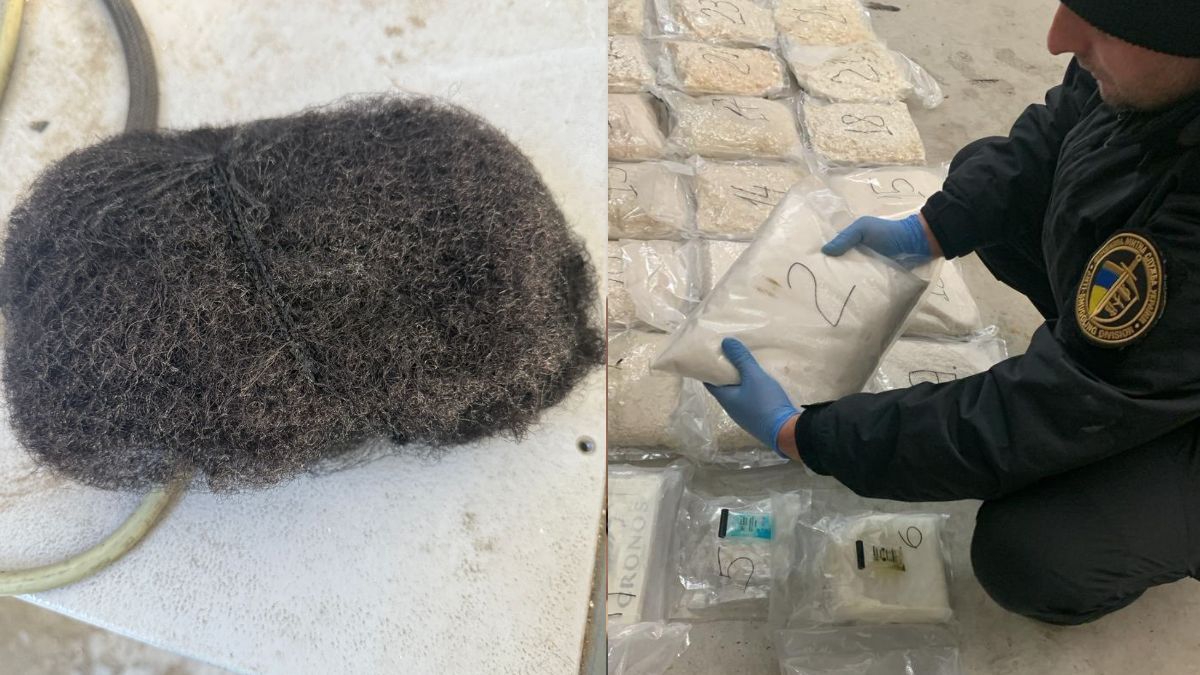 Від айфонів до пітонів: що намагалися перевезти через кордон у 2025 році 4