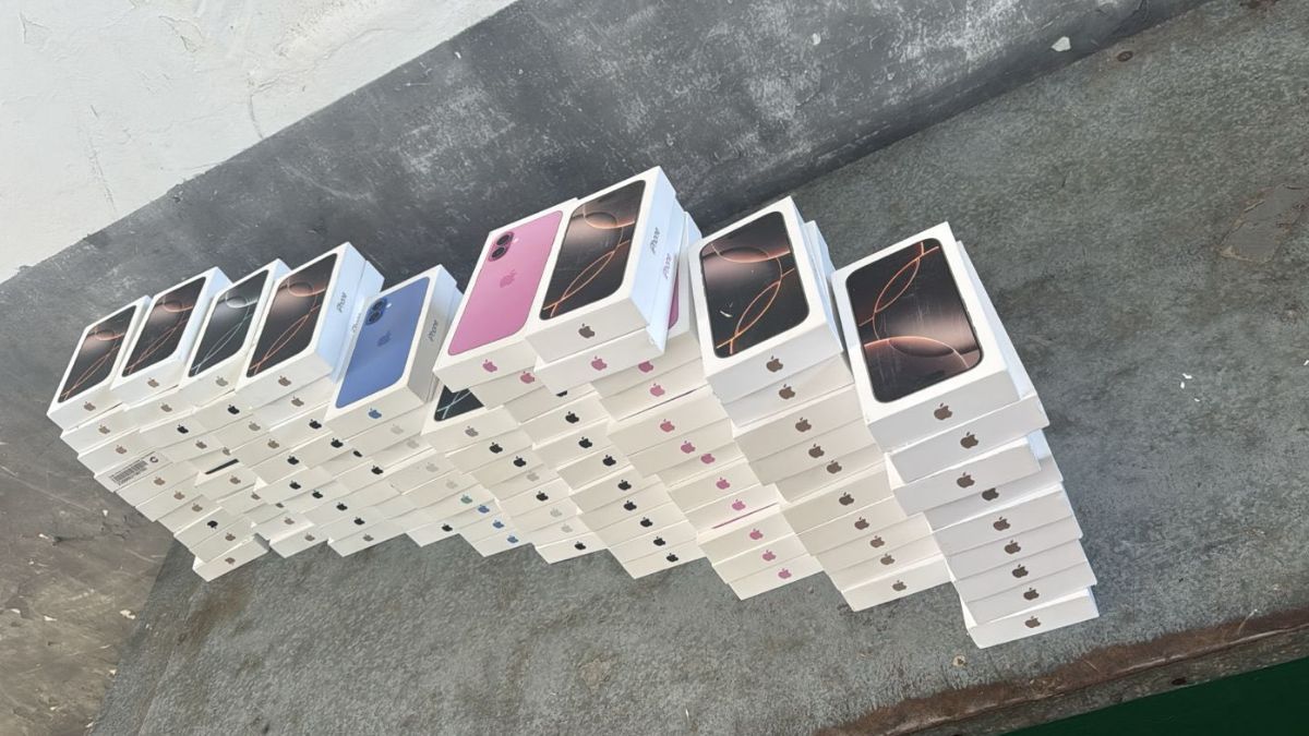 Від айфонів до пітонів: що намагалися перевезти через кордон у 2025 році 5