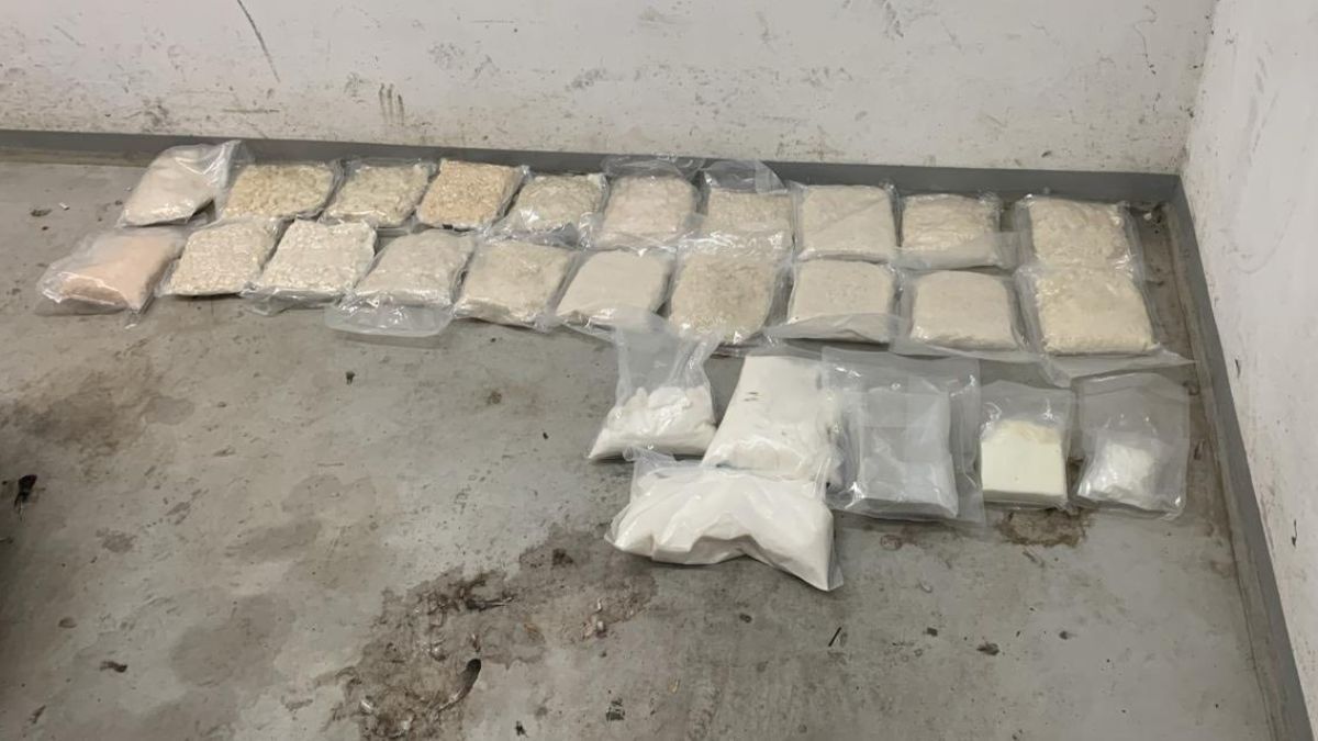 Від айфонів до пітонів: що намагалися перевезти через кордон у 2025 році 6