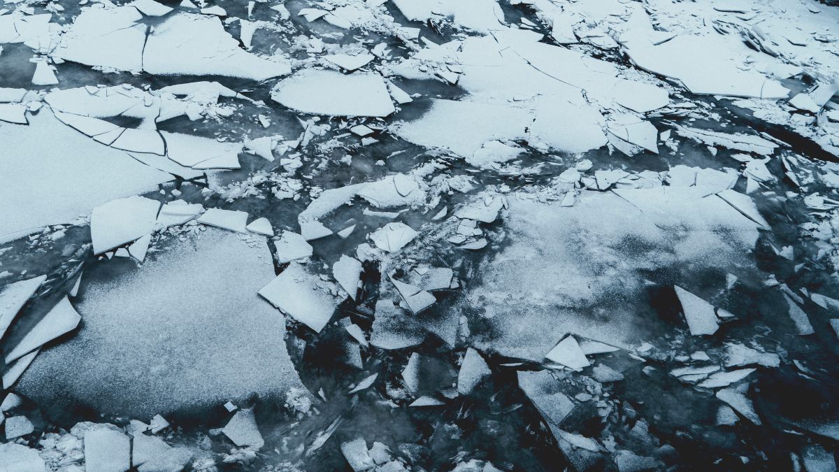 У річці на Надвірнянщині виявили тіло жінки