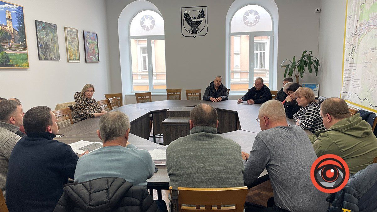 Активісти Шевченківського озера ходили у Коломийську ратушу з пропозиціями