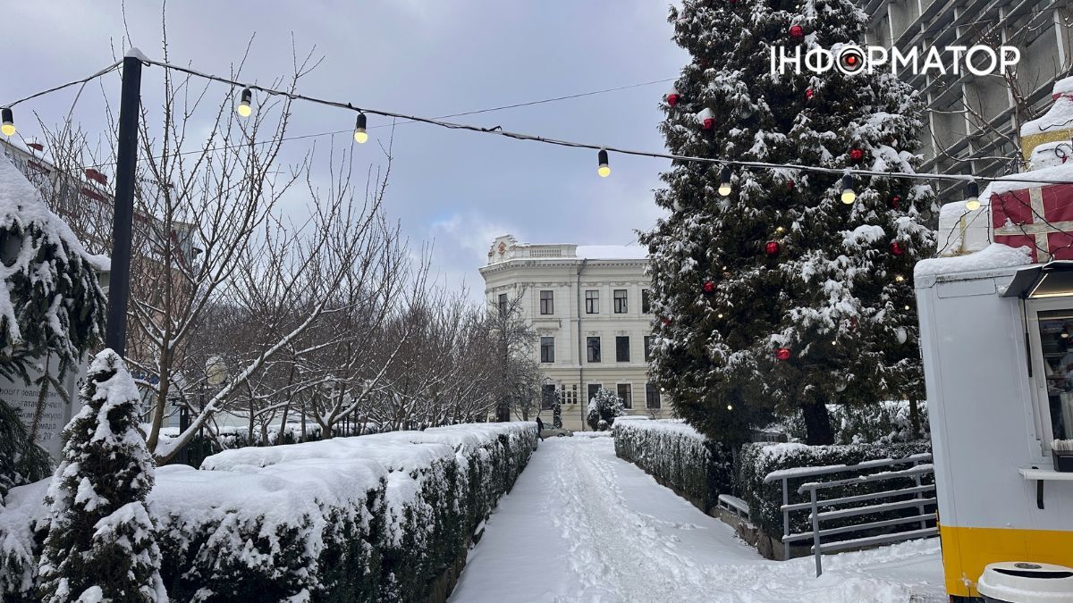 Писанкова під товщею снігу: фоторепортаж зимової Коломиї 7