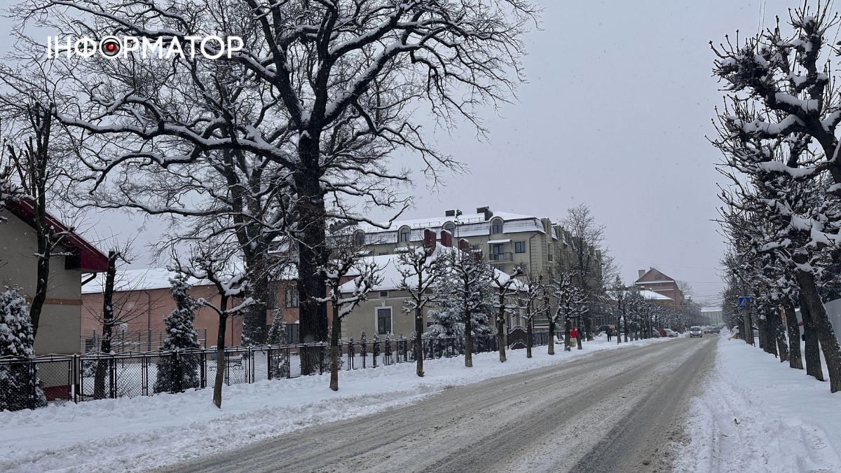 Писанкова під товщею снігу: фоторепортаж зимової Коломиї 6
