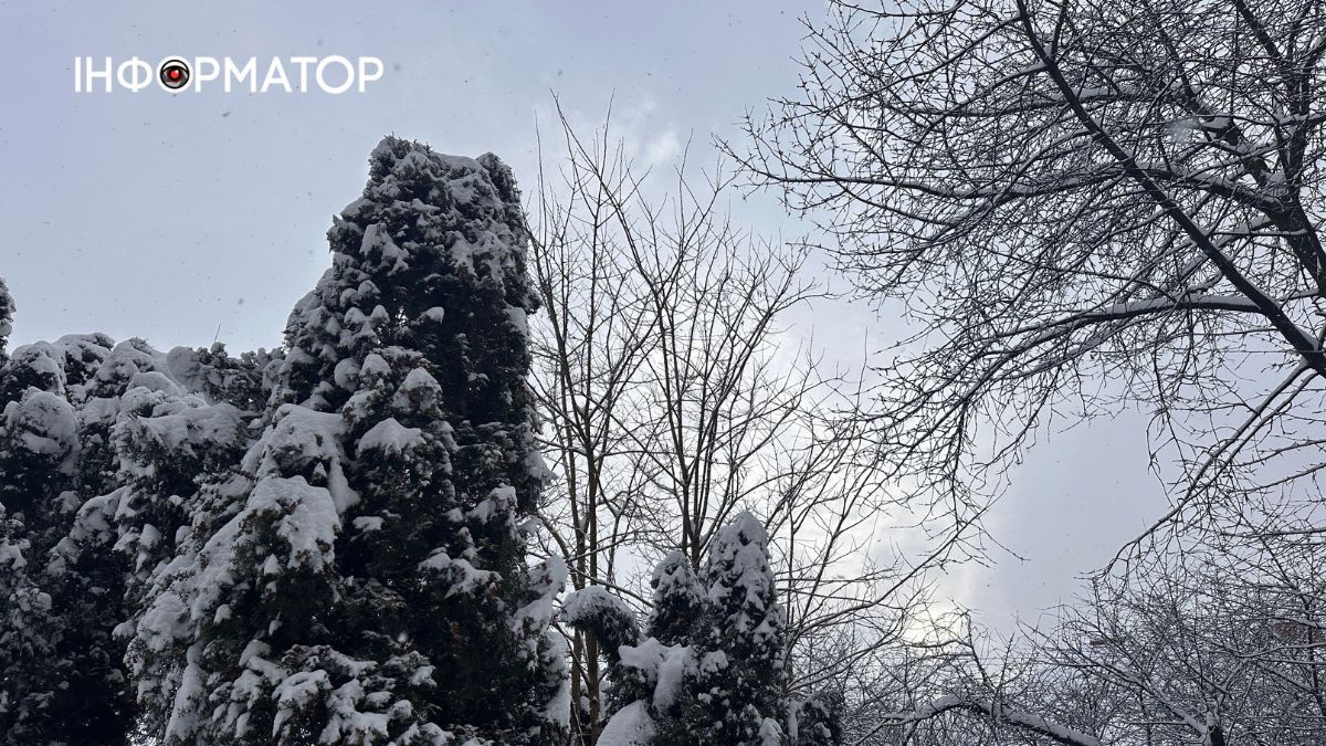 Писанкова під товщею снігу: фоторепортаж зимової Коломиї 8