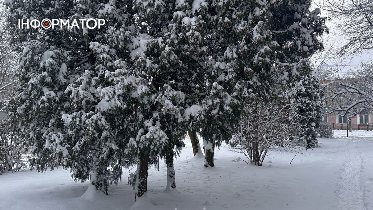 Писанкова під товщею снігу: фоторепортаж зимової Коломиї 9