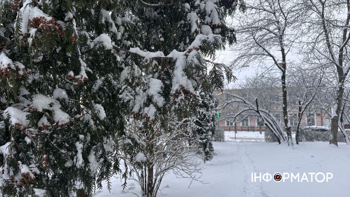 Писанкова під товщею снігу: фоторепортаж зимової Коломиї 21