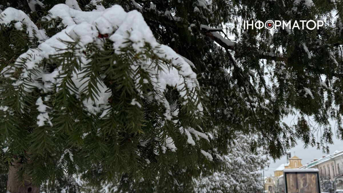 Писанкова під товщею снігу: фоторепортаж зимової Коломиї 24
