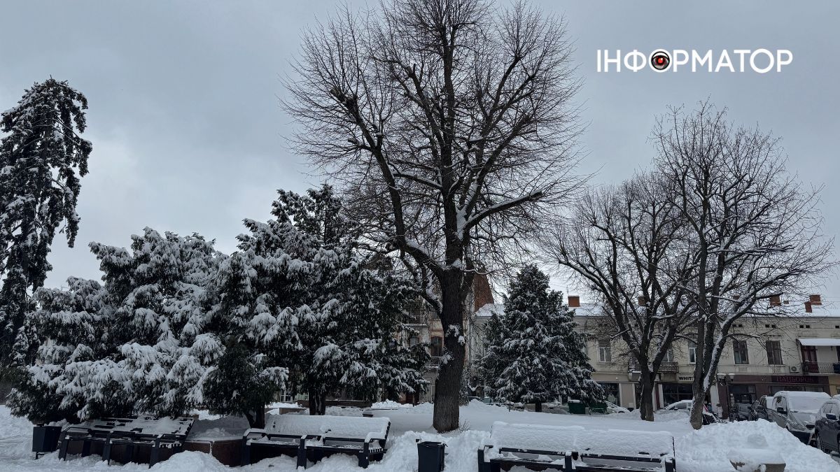 Писанкова під товщею снігу: фоторепортаж зимової Коломиї 18