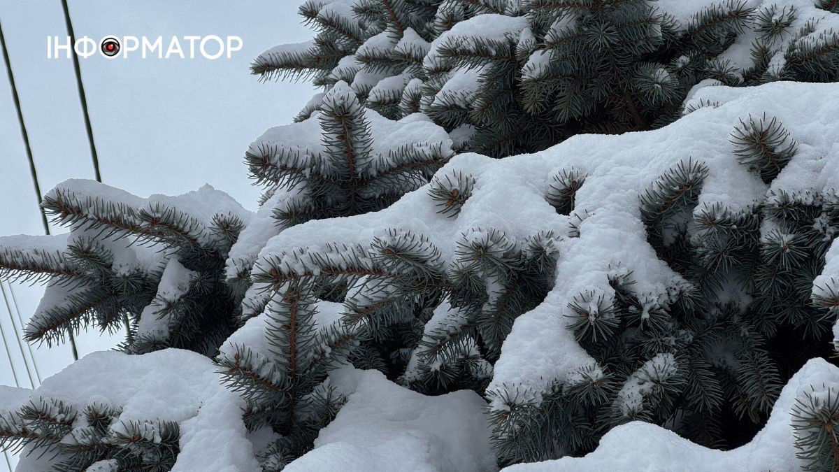 Писанкова під товщею снігу: фоторепортаж зимової Коломиї 15