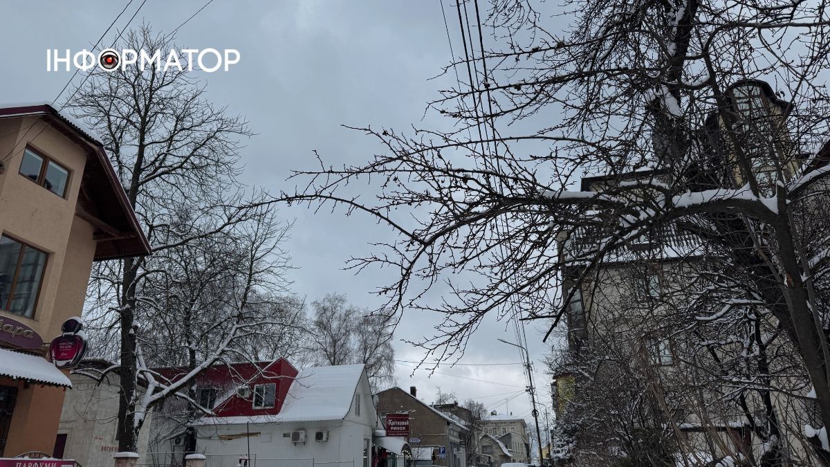 Писанкова під товщею снігу: фоторепортаж зимової Коломиї 13