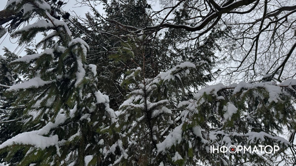 Писанкова під товщею снігу: фоторепортаж зимової Коломиї 14