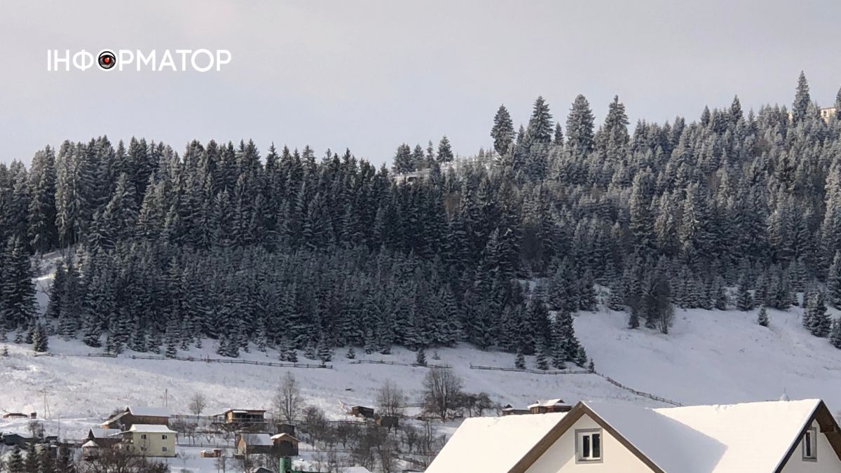 Снігова казка на Гуцульщині: фоторепортаж засніжених Карпат 1