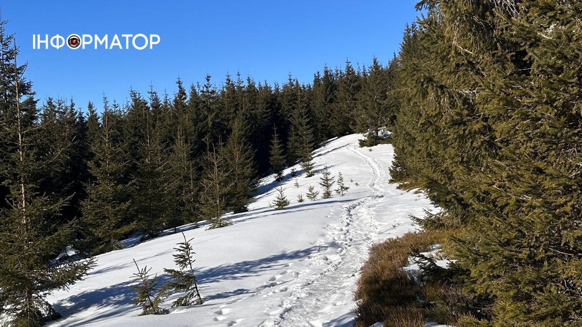 Снігова казка на Гуцульщині: фоторепортаж засніжених Карпат 5