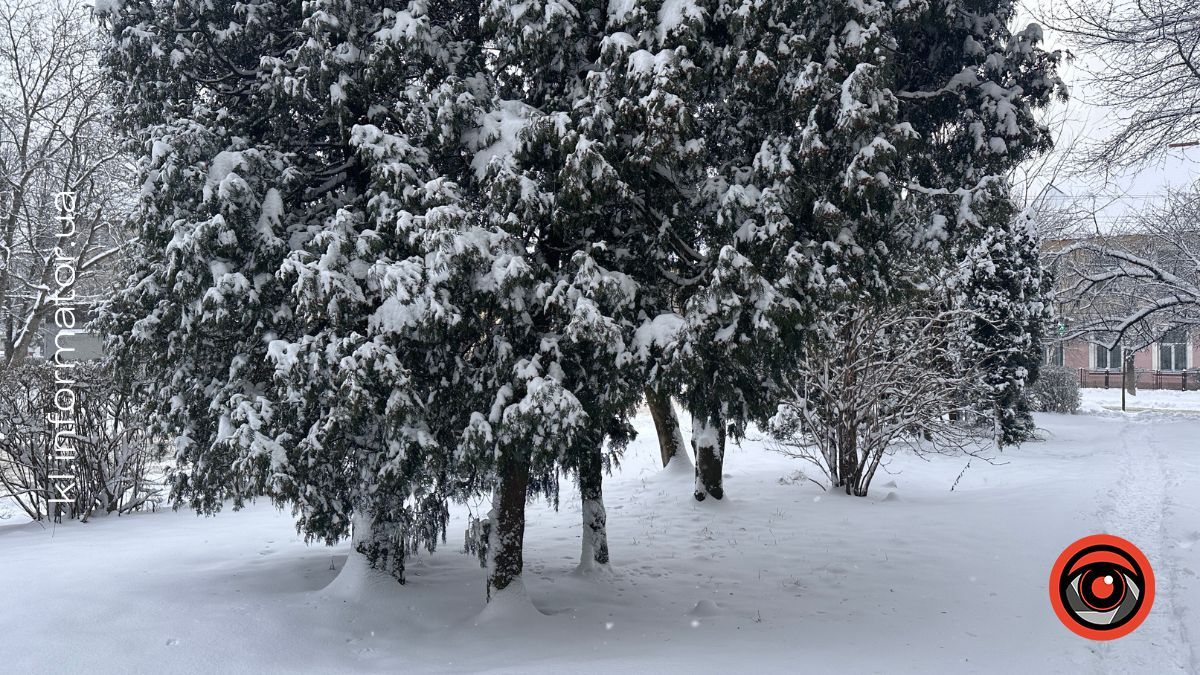 Погода у Коломиї 11 січня