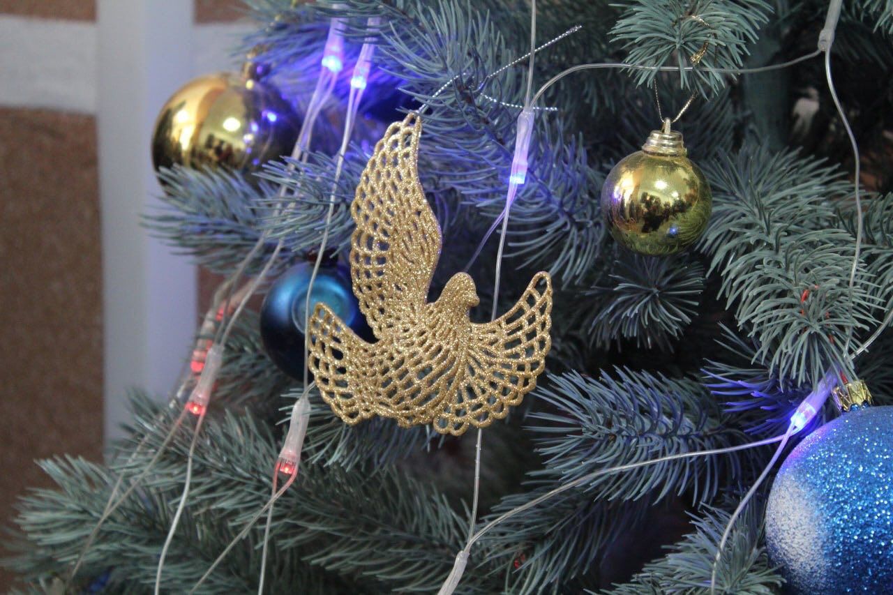 У Коломиї з колядою відвідали госпіталь ветеранів та оздоровчий центр 8