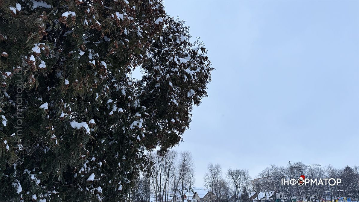 Зимовий ранок на озері в Коломиї: фоторепортаж 22