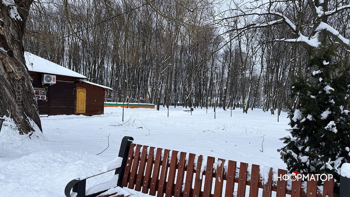 Зимовий ранок на озері в Коломиї: фоторепортаж 18