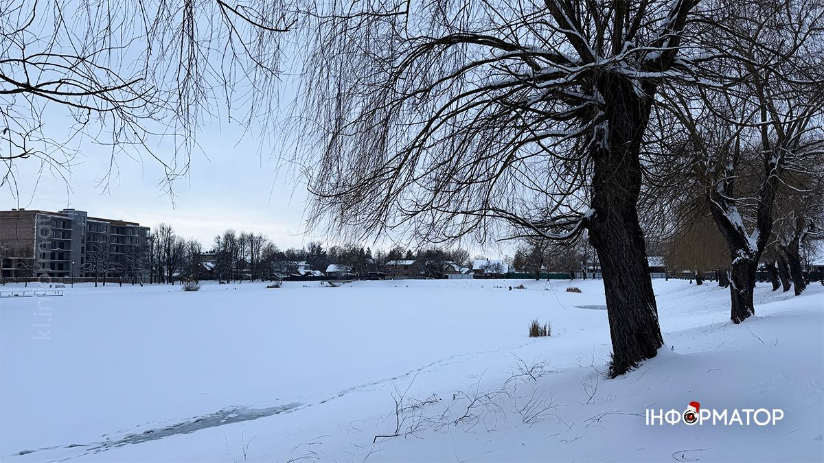 Зимовий ранок на озері в Коломиї: фоторепортаж 14