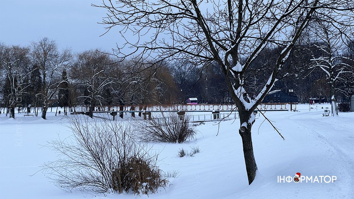 Зимовий ранок на озері в Коломиї: фоторепортаж 7