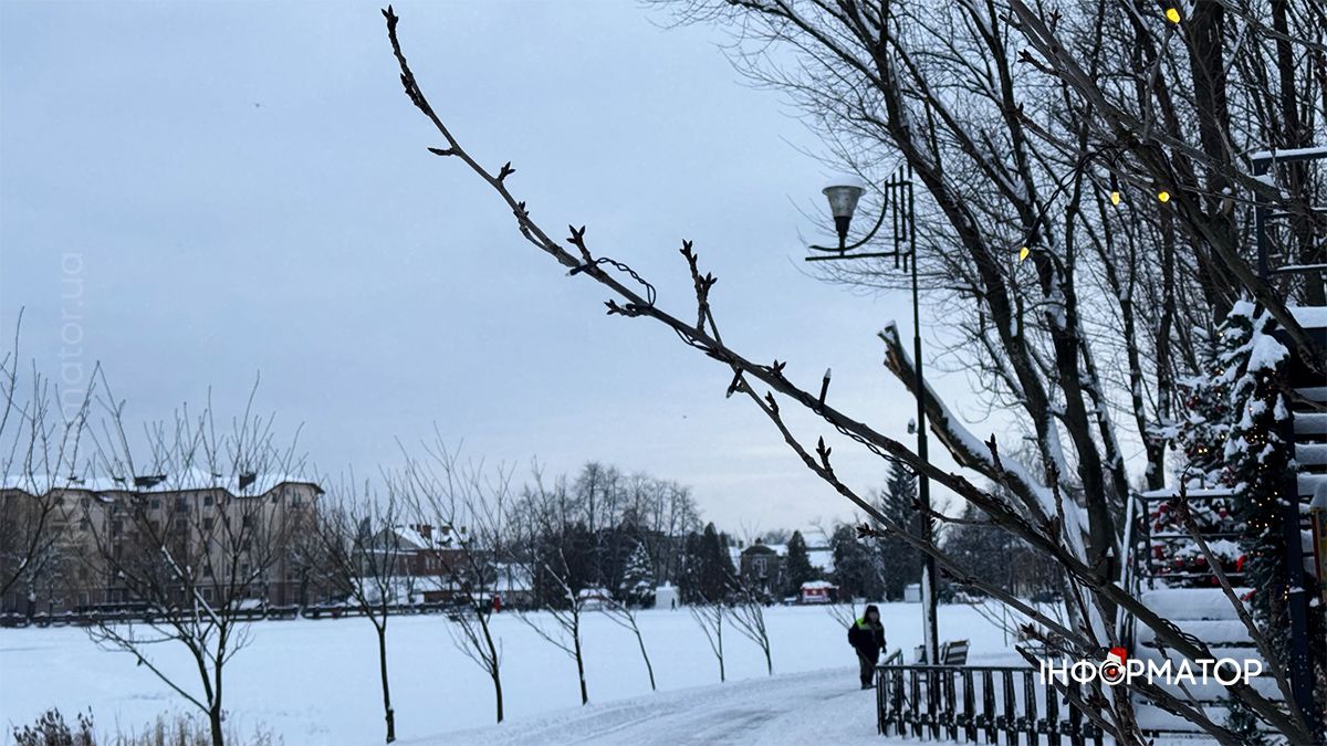 Зимовий ранок на озері в Коломиї: фоторепортаж 6
